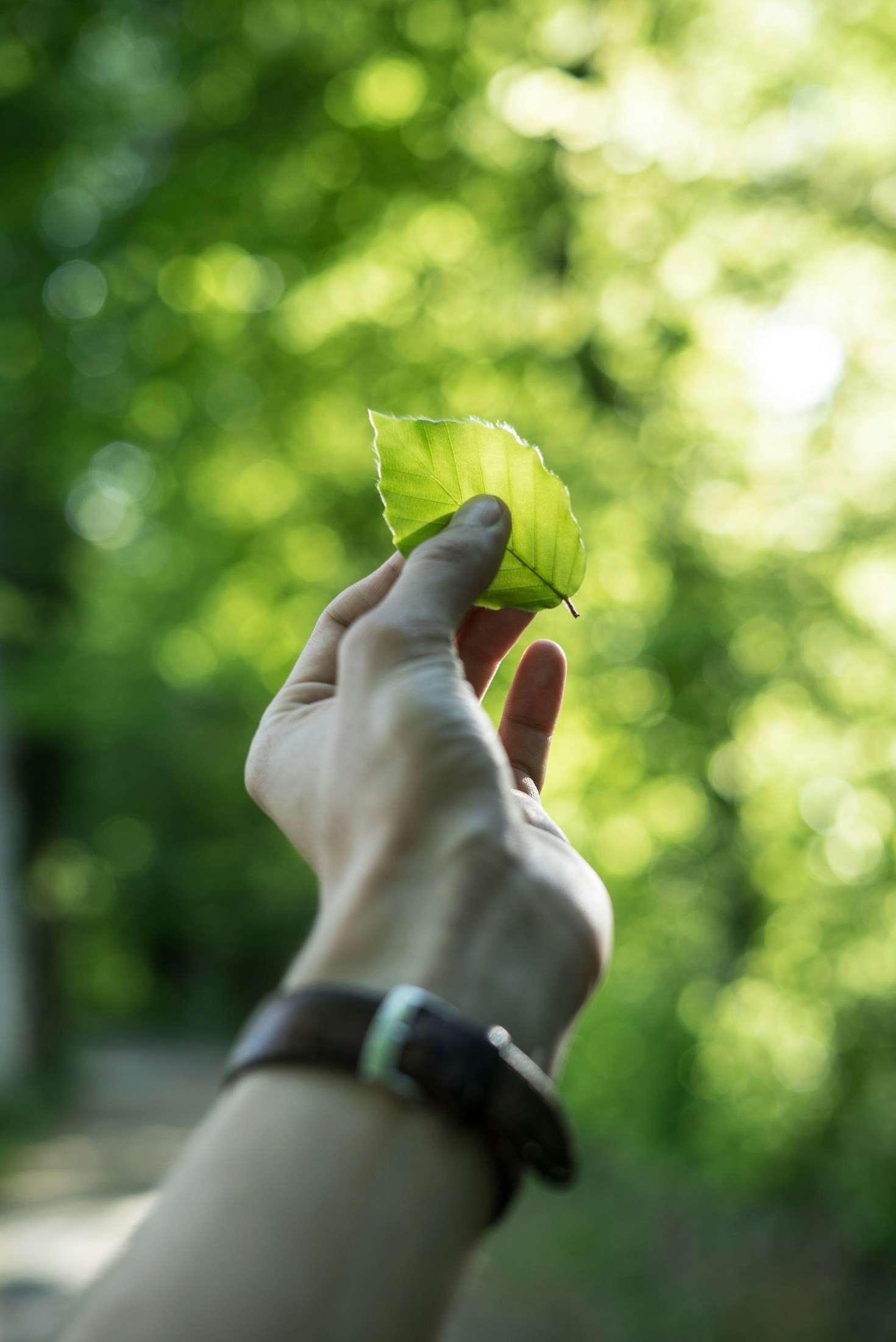 Upcycling: Ge nytt liv till gamla saker
